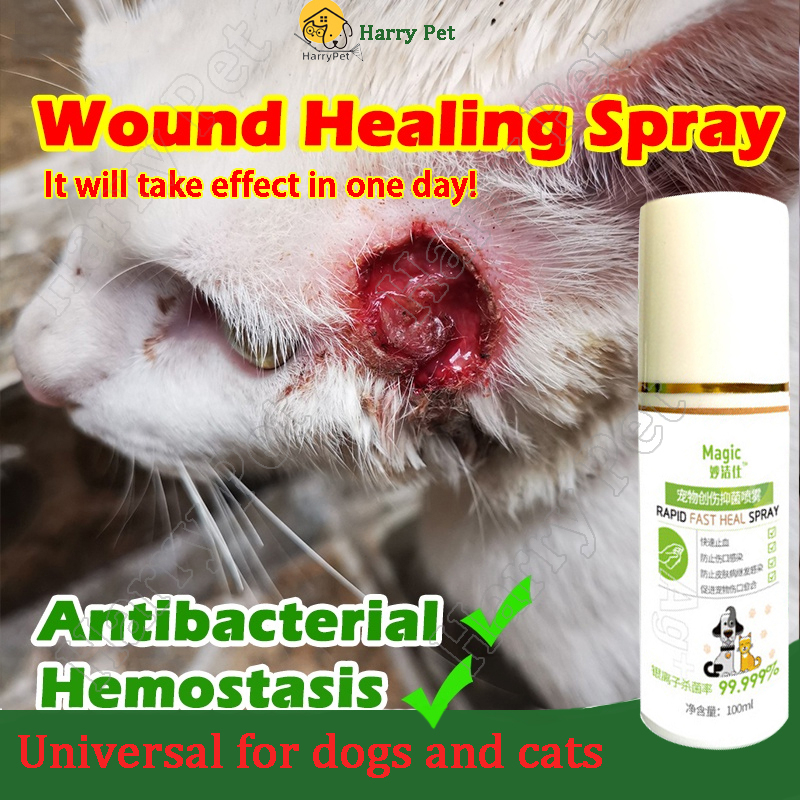 Pet Wound Spray Pet Antibacterial Spray for Skin 100ml Wound Repair