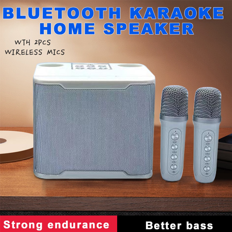 3D stereo wireless Bluetooth amplifier dual microphone speaker karaoke ...