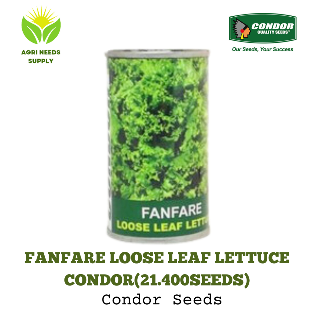 Fanfare Loose Leaf Lettuce Condor(21.400seeds) Shopee Philippines