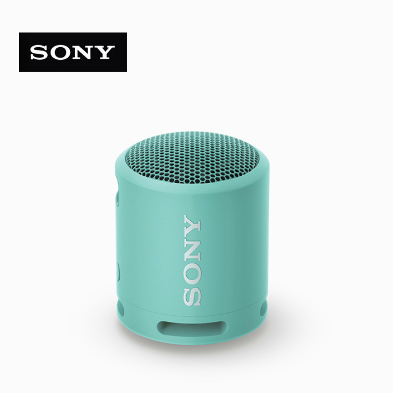 Portable Bluetooth Sony Srs SONY SRS-XB100 Portable Bluetooth