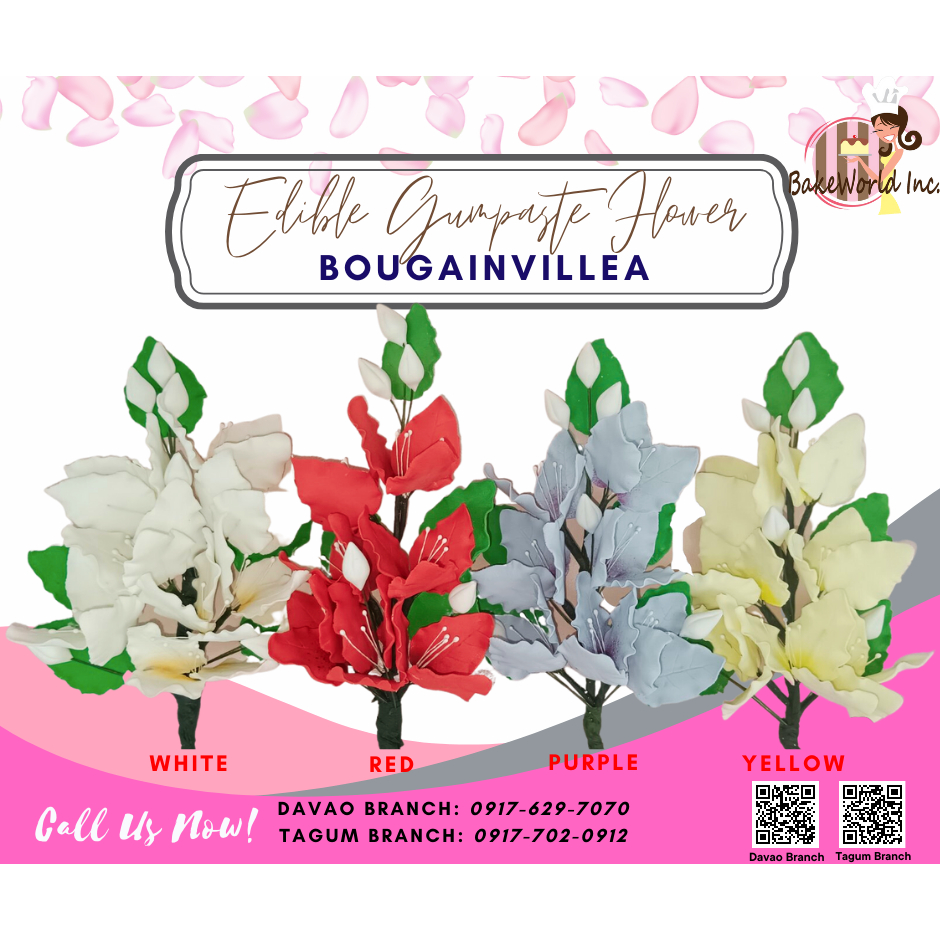 Edible Gumpaste Flower [ BOUGAINVILLEA ] Shopee Philippines