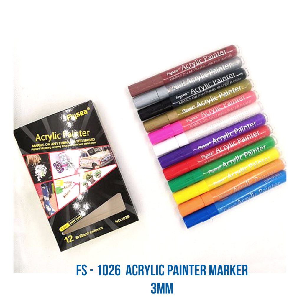 FLYSEA Acrylic Painter Marker Set of 12 (0.7 3.0 mm, Permanent Paint