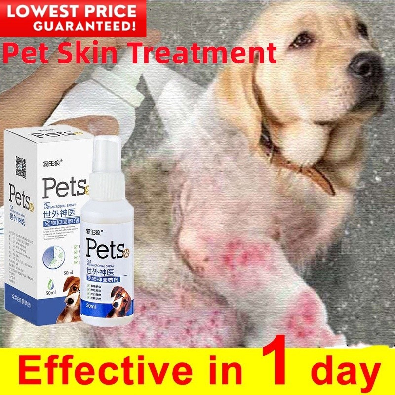 pet-skin-treatment-for-dogs-galis-ng-aso-gamot-dog-skin-disease