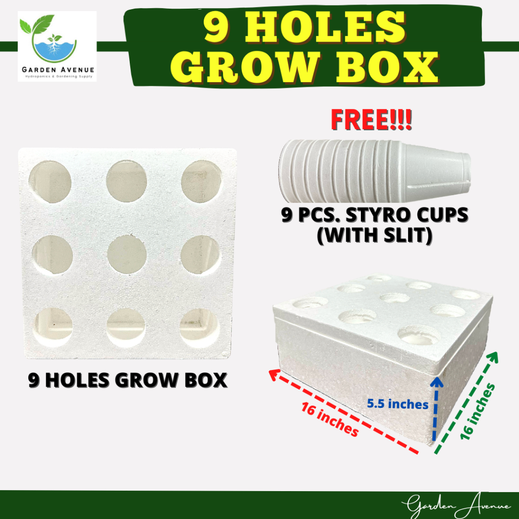 HYDROPONICS 9 HOLES GROW BOX WITH 9 PCS. STYRO CUPS (WITH SLIT