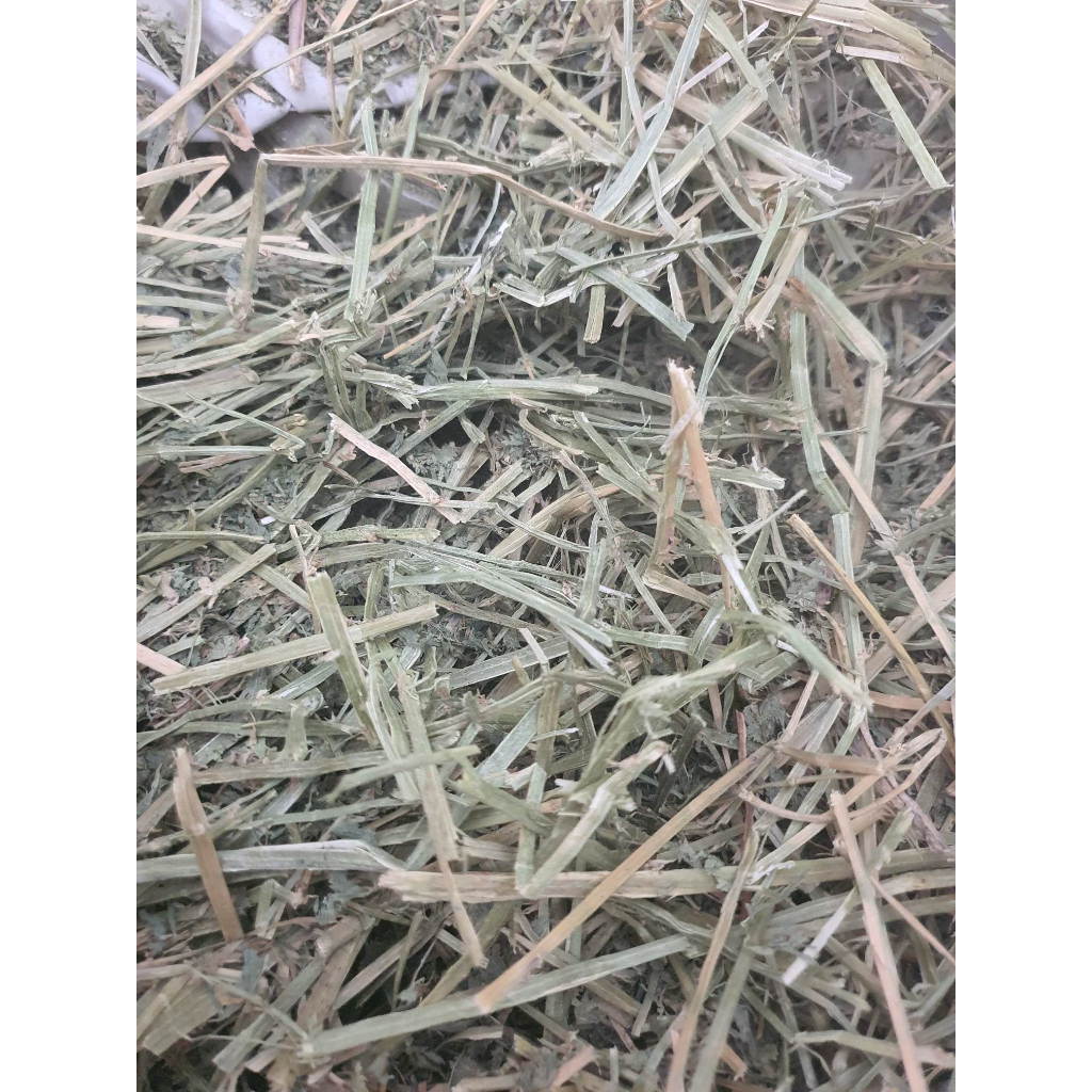 Premium Timothy Hay Bundle Pack 3kg and 5kg | Shopee Philippines