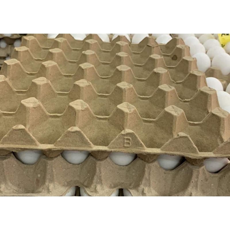 used paper egg trays (10pcs) Shopee Philippines