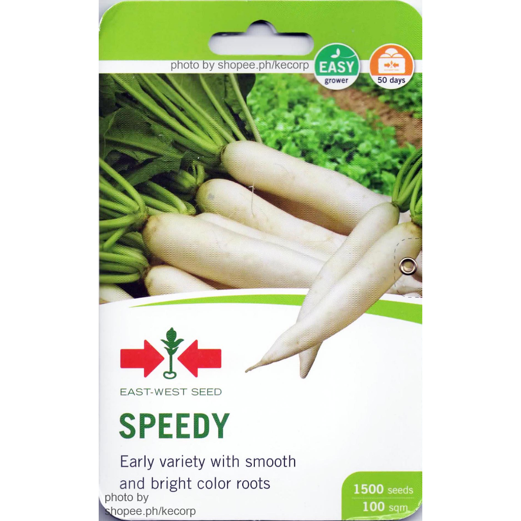 Eastwest Vegetable F1 Speedy White Radish Labanos Approx 1500 Seeds ...
