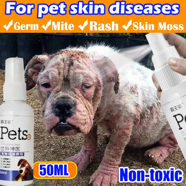 Dogs skin shop disease and treatment