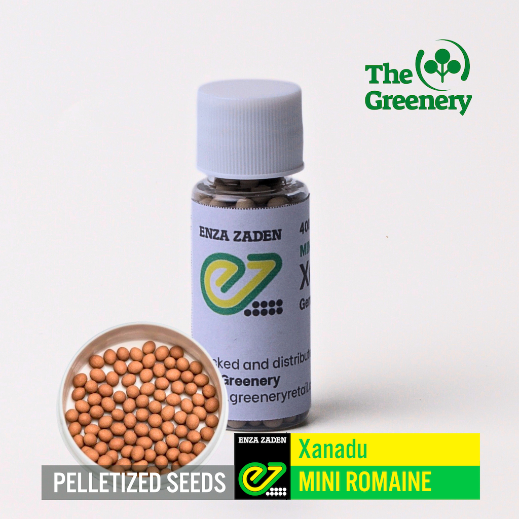 Xanadu Mini Romaine Lettuce Seeds Pelletized 400 Pills Shopee
