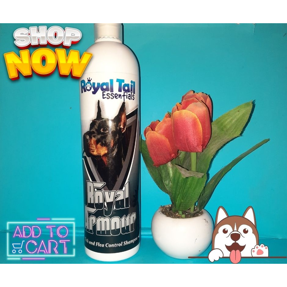 Royal Tail Essentials Royal Armour Tick and Flea Control Shampoo For