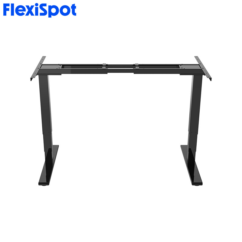 FlexiSpot E5 Standard Standing Desk Height Adjustable 2Motor 3Stage