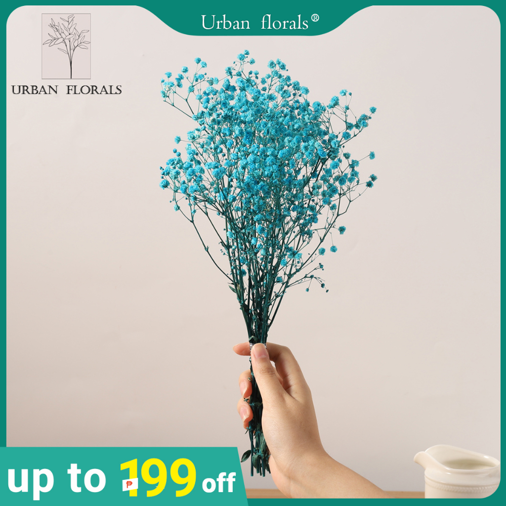 Gypsophila paniculata Dried Gypsophila (6 colors) Flower Arrangement for Home Shopee Philippines