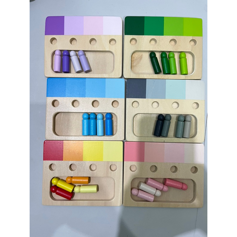 educratePH Montessori Color Sorting Peg / Preschool color matching ...