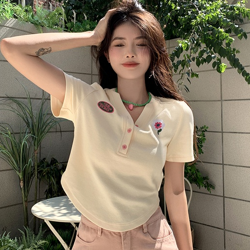 Lenbach Korean Embroidery Short Sleeve T Shirt V-neck Top for Women ...