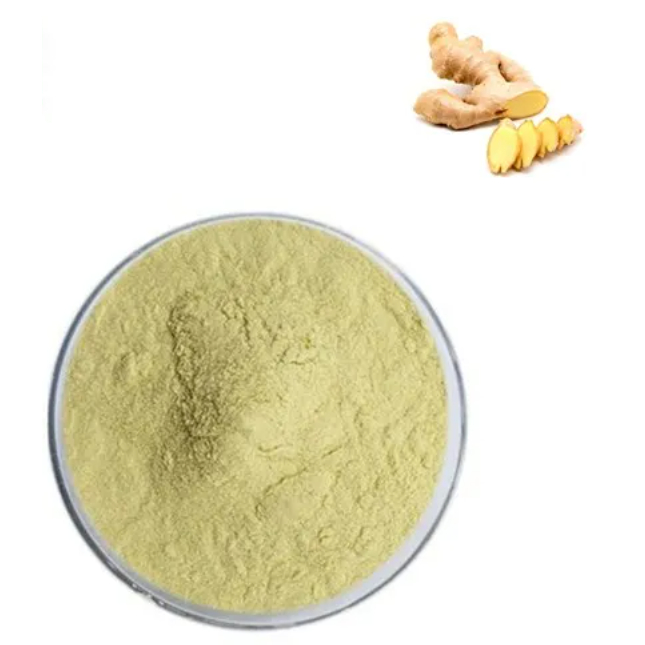 {DNC} Ginger Root Extract Powder 250grams Shopee Philippines