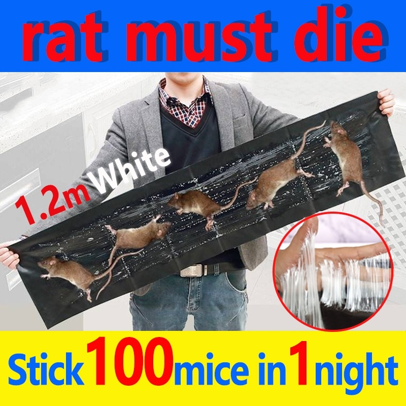 mouse can't escape mouse trap sticky board sticky mouse trap1.2M sticky