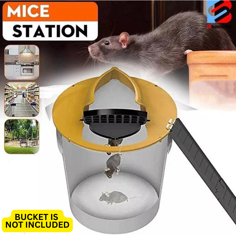 Mouse Bucket Trap cage perfect trap for big rats very suitable for