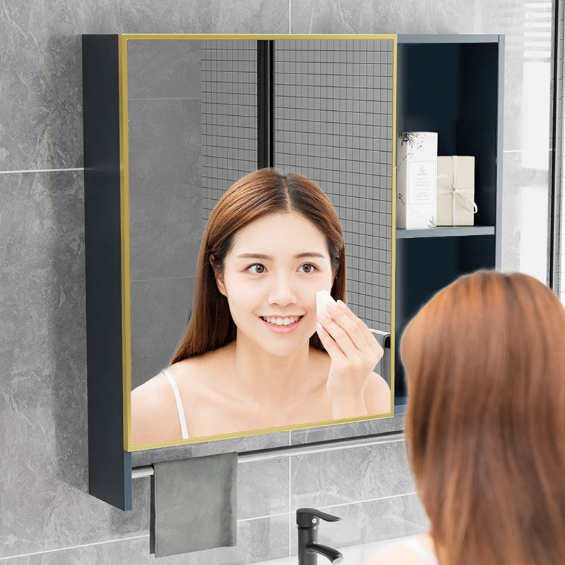 Bathroom Wall Mounted Mirror Storage Shelves Shelf with Door