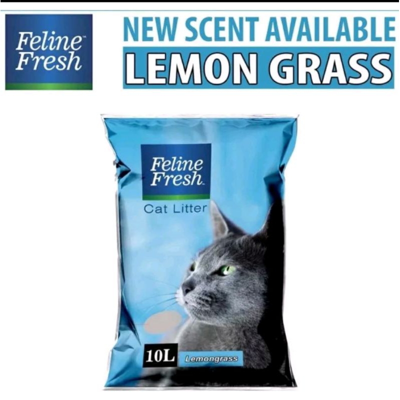 Lemongrass shop cat litter