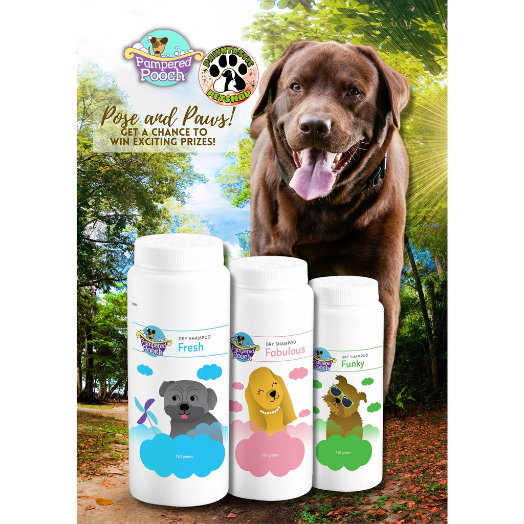 Pampered pooch clearance shampoo