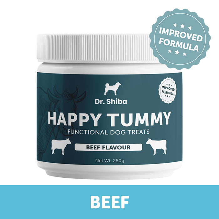 Dr Shiba Healthy Dog Treat Supplement Snacks for Pets HAPPY TUMMY