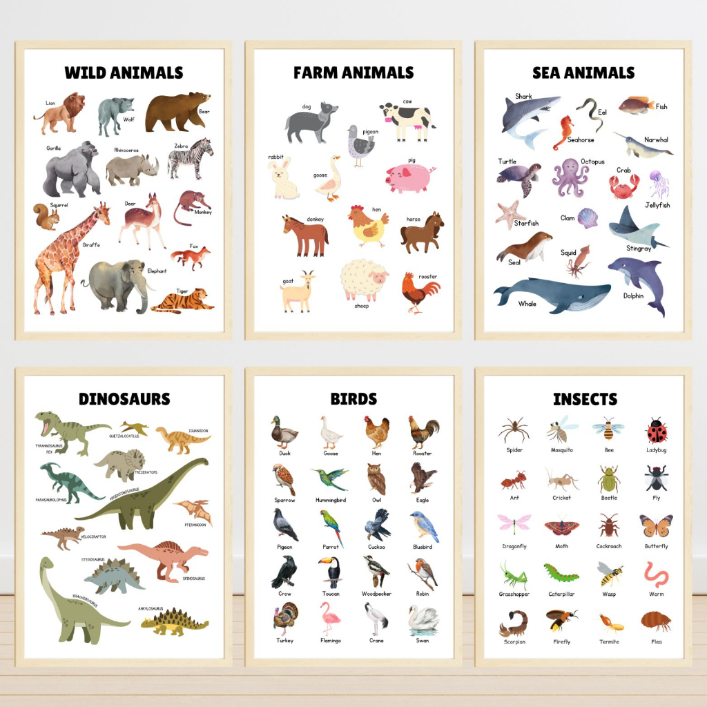 ANIMALS A4 Laminated Educational Wall Charts and Posters for Kids and ...