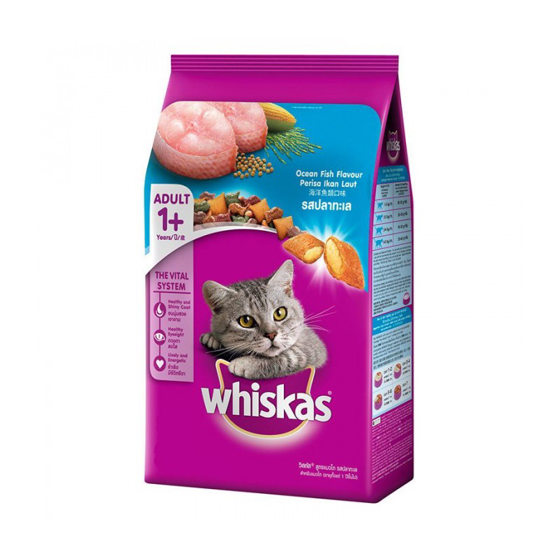 Whiskas dry shop cat food kitten