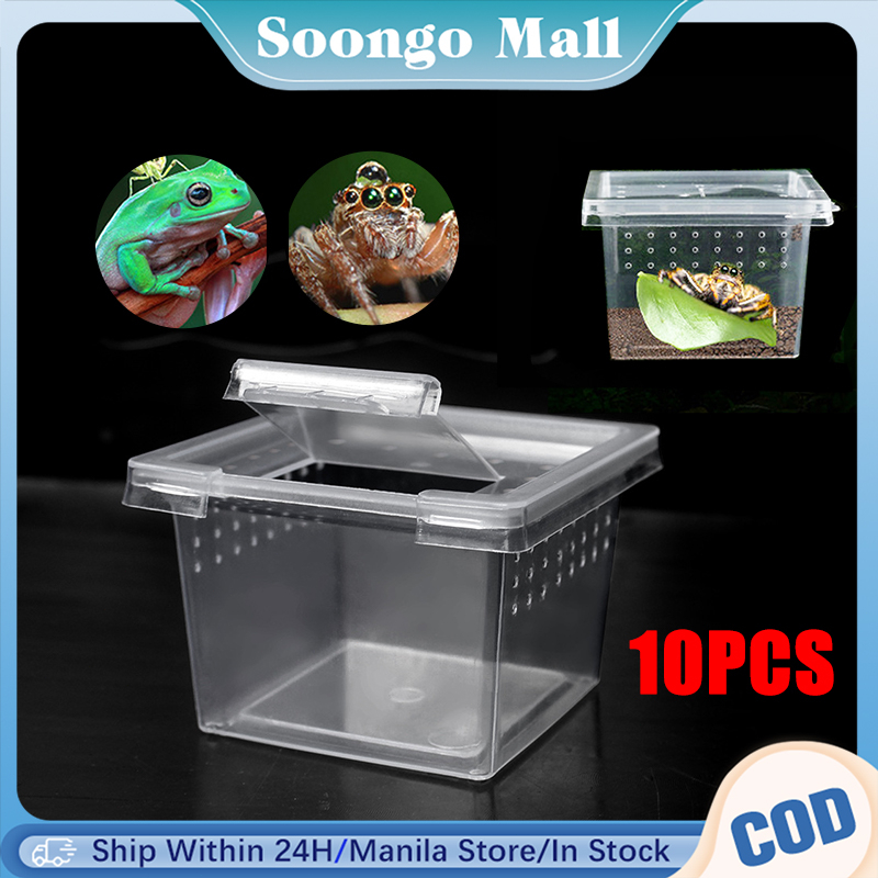 10pcs Tarantula Feeding Box Reptile Hatching Container Rearing Tank for