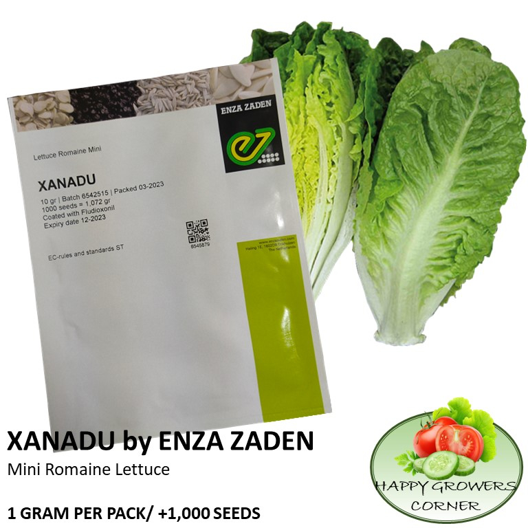 XANADU mini romaine Lettuce Seeds by ENZA ZADEN (0.5, 1 & 2 Grams per