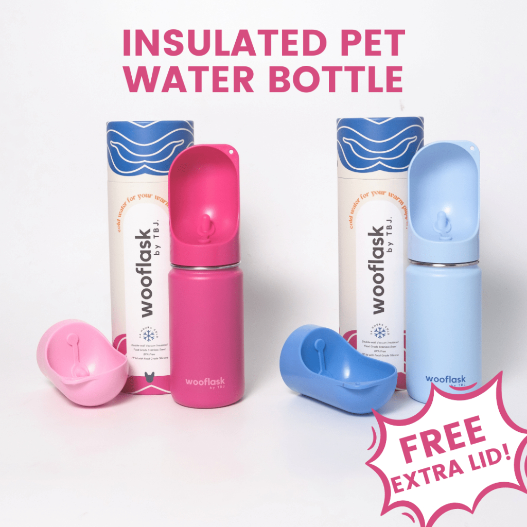 WOOFLASK Insulated Pet Water Bottle Dog Cat Cold Water Bottle Shopee