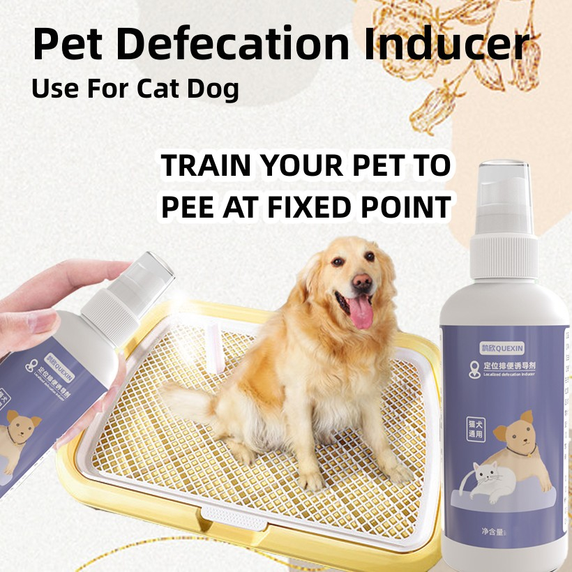 Potty Spray Training Dog Cat 100Ml Pet Inducer Spray Dog Potty Training ...