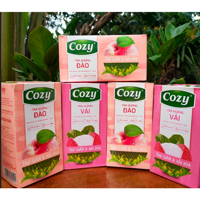 COZY TEA VIETNAM FLAVORED FAVORITE TEA (25 tea bags x 2g) | Shopee ...