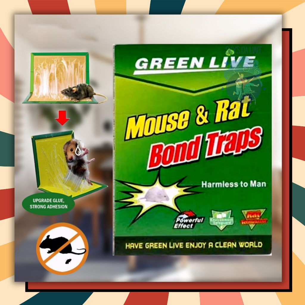 SKY'S Green Card Book Nontoxic Mouse Rats Glue Mouse Trap Rat Control