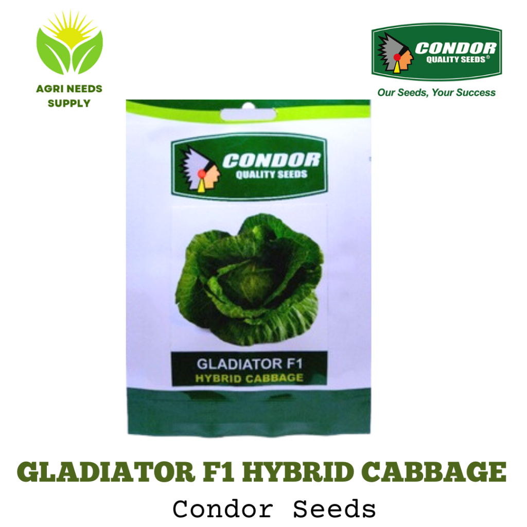 Gladiator F1 Hybrid Cabbage Condor 1gms | Shopee Philippines