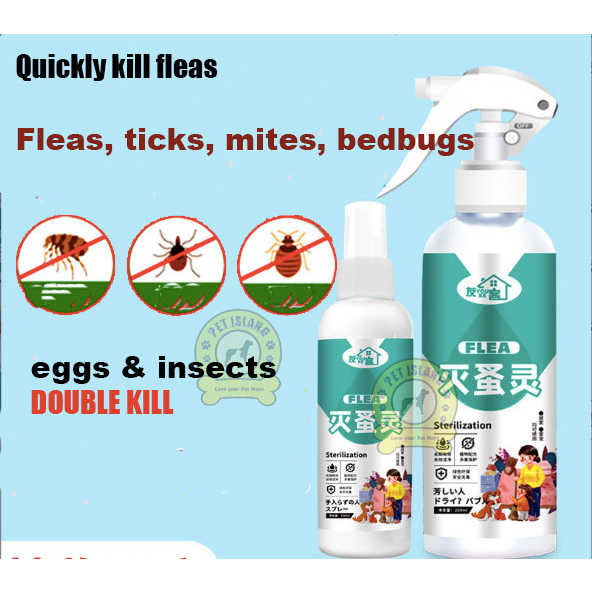 Pet Dog flea insecticide spray anti-dog cat external use insect ...