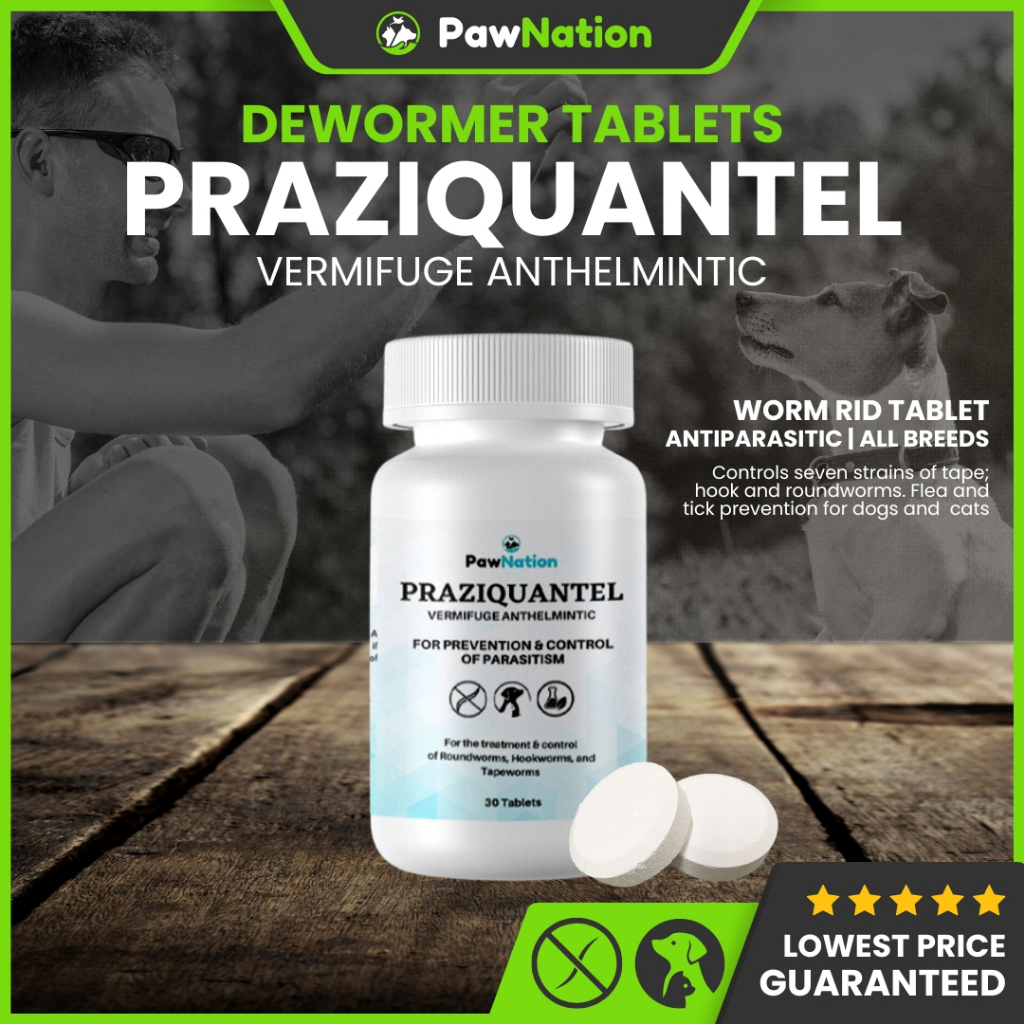 PawNation Praziquantel Dewormer Tablet for Adult Dog Puppy Pet