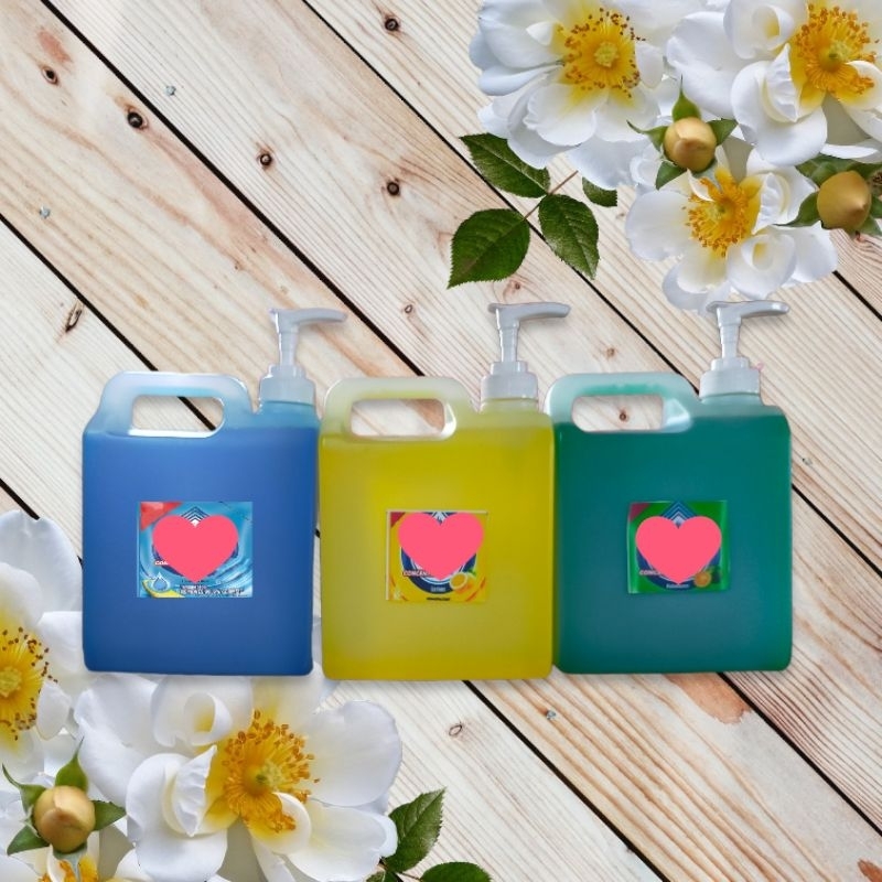 dishwashing liquid with pump gallon set 1 liter Shopee Philippines