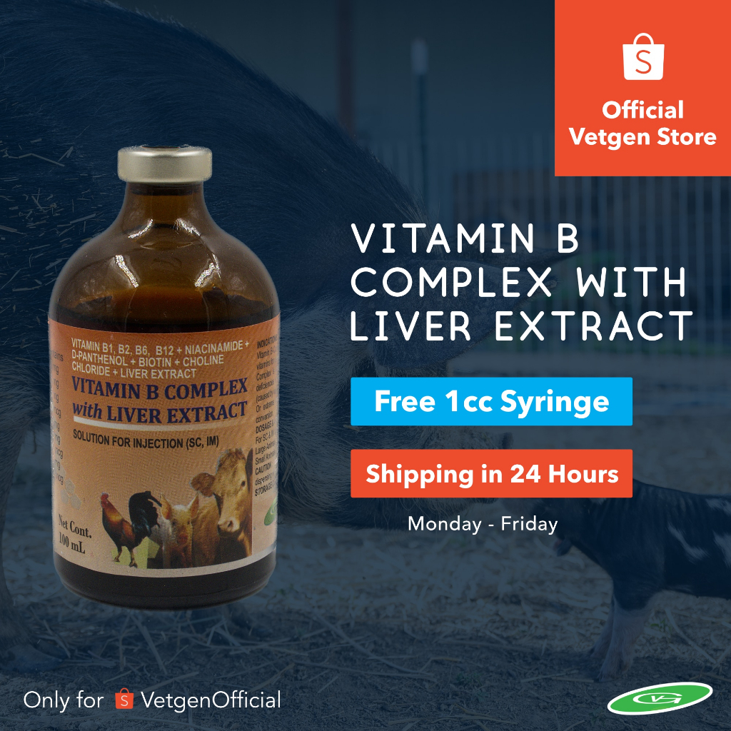 Vitamin B Complex + Liver Extract for Animals 100ml Injectable