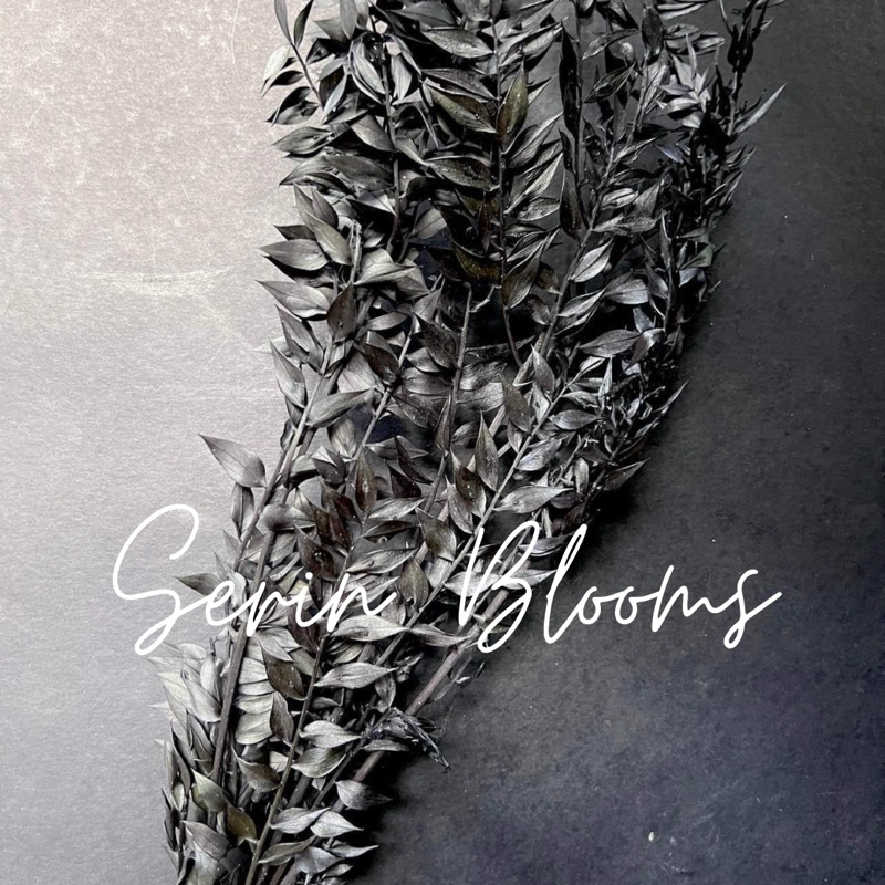 Dried Italian Ruscus (sold per stem) | Shopee Philippines