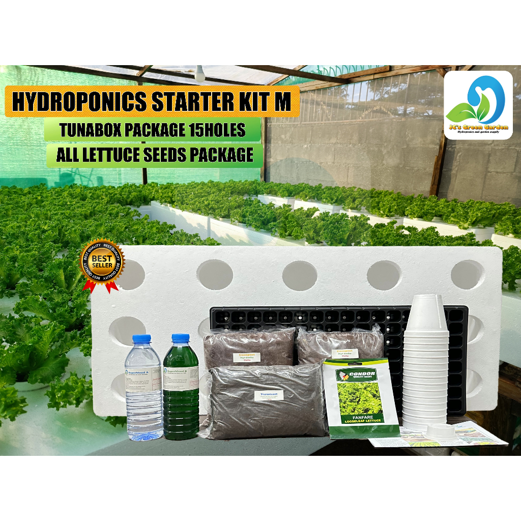 HYDROPONICS STARTER KIT M ALL LETTUCE SEEDS/2000+ SEEDS OF LETTUCE