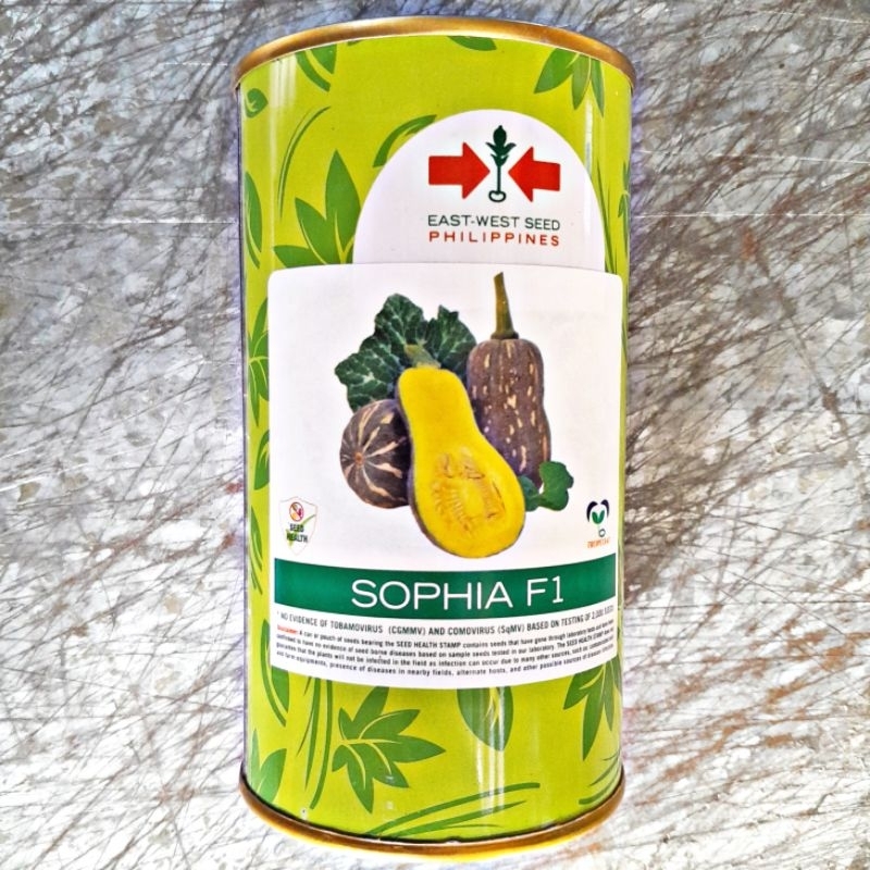 SOPHIA F1 HYBRID BUTTERNUT SQUASH / KALABASA SEEDS (850 SEEDS) by EAST