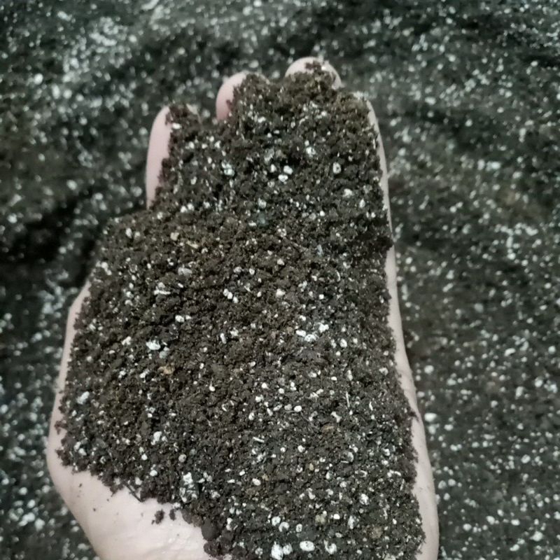 Cactus Sacculent potting mix 1 kilo | Shopee Philippines