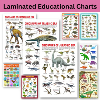 Laminated Different Dinosaurs Types Illustration Dinosaur Poster