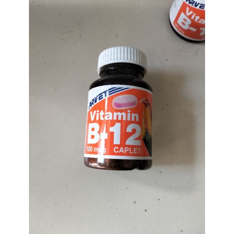Arvet B12 Caplet & Tablet (50Caplet /100 Tablet per bottle | Shopee ...