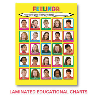 Laminated How Are You Feeling Chart, Emotions Chart, Feelings Chart ...