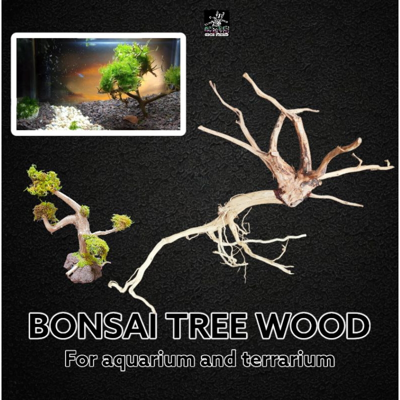 Bonsai tree / mini tree woods for aquarium and terrarium | Shopee ...