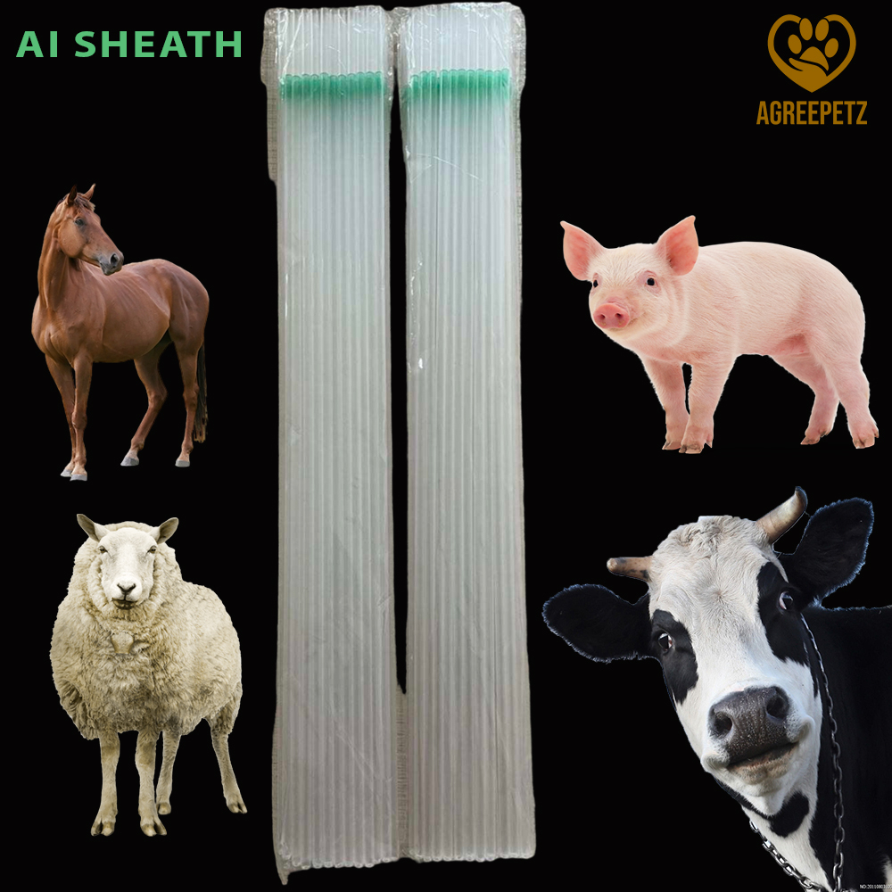 Artificial insemination AI sheath catheter for Cattle, in vitro ...