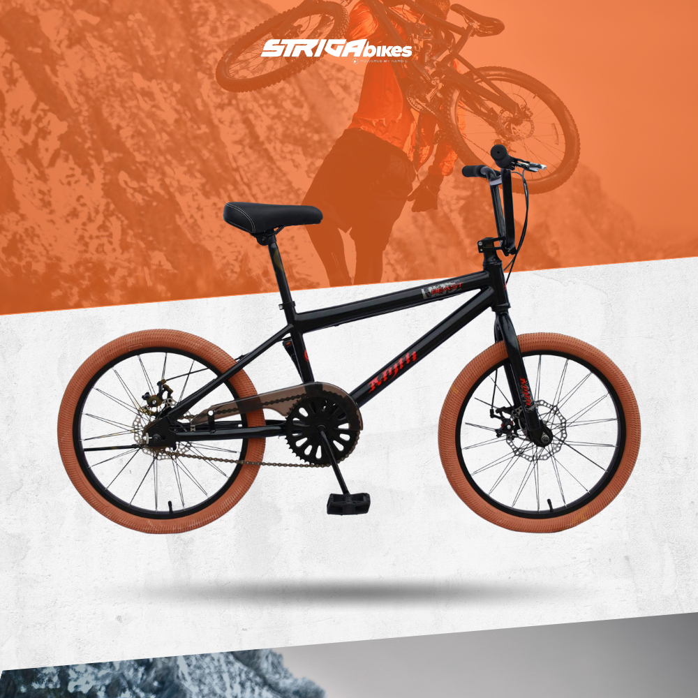 Bmx top bike shopee