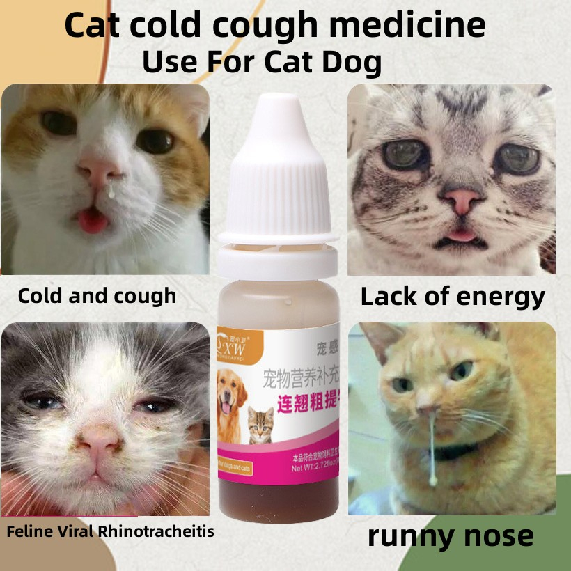 Feline cold medicine hotsell