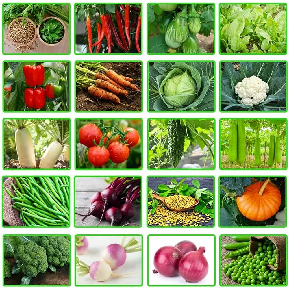 Assorted Vegetable Seeds SULIT PACK Shopee Philippines